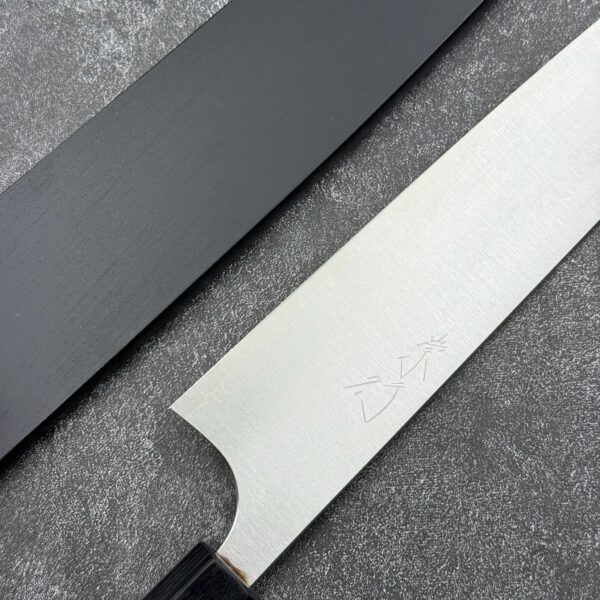 Koutetsu x Ikeda Takumi x Shibata Takayuki SG2 Gyuto 210mm